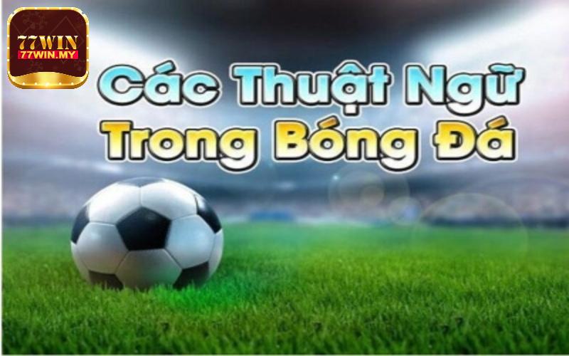 Một số thuật ngữ quan trọng thường xuyên được sử dụng